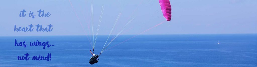Temple Pilots - Paragliding in Kamshet - Course Testimonials