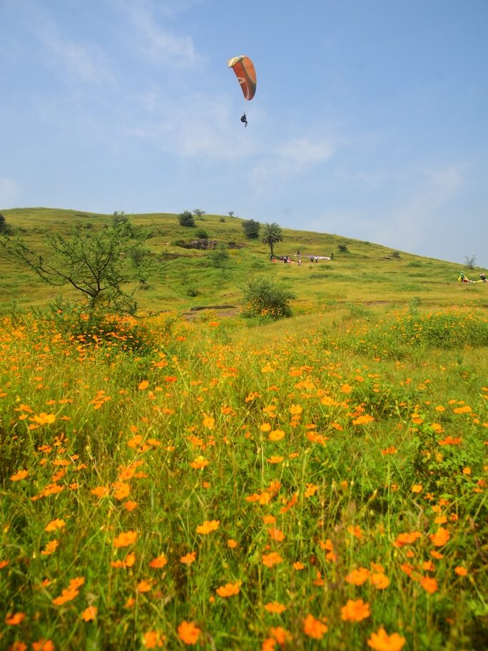 Green Kamshet Paragliding SIte