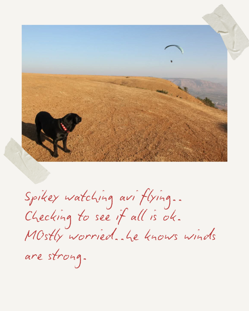 Spikey and Paragliding