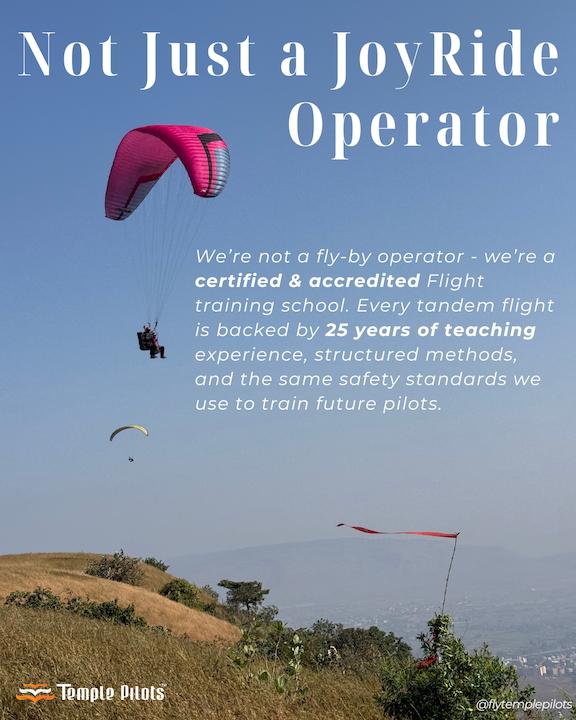 Temple Pilots Not Just a JoyRide Operator