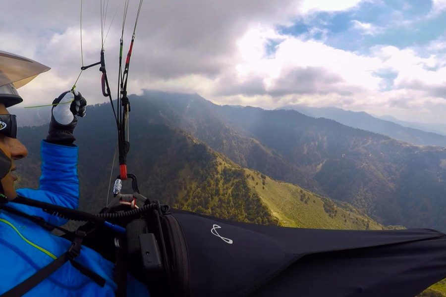 Nature & Flying