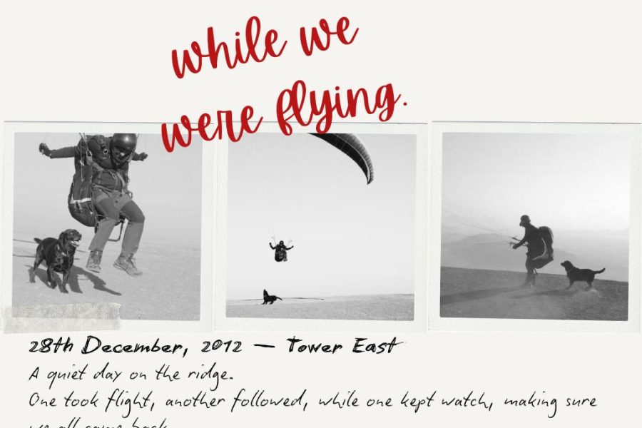 While We Were Flying